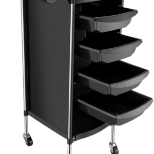 Professional Rolling Salon Trolley & Storage Cart