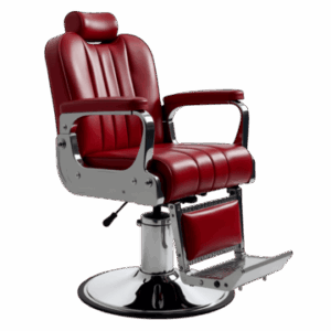 Vintage Professional Hydraulic Barber Chair